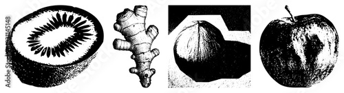 Kiwi slice, ginger root, coconut, stylized halftone vector graphics, isolated food, botanical illustrations, clean art.