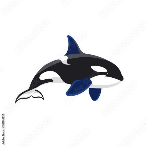 Stylized illustration of a killer whale swimming