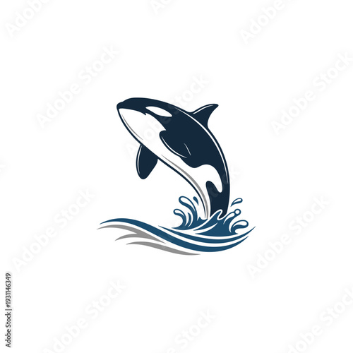 Stylized illustration of an orca killer whale jumping out of water with splashes