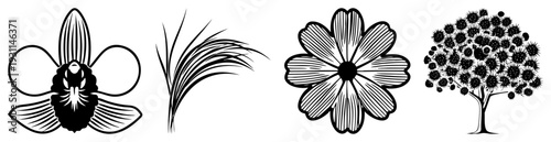 Ornamental and plant motifs rendered in clean vector, including orchid, reed, daisy, and berry laden tree, ideal for graphic design and branding.