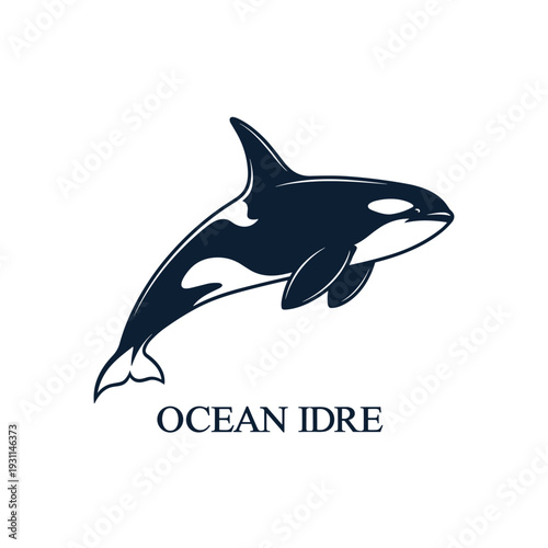 Stylized illustration of an orca or killer whale swimming