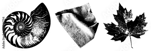 Black and white halftone illustrations of a nautilus, draped fabric, and maple leaf, rendered as vector graphics with isolated foregrounds.