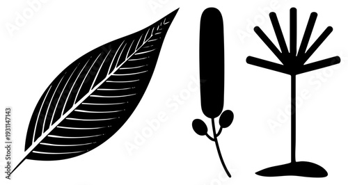 Vector botanical symbols in black, leaf with veins, cattail reed, stylized tree, minimalist flora, nature set, graphic design elements.