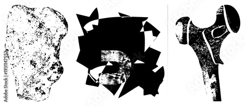 Graphic representations of fractured skull and bone forms, stylized with distressed textures, isolated vector cutouts for design use.
