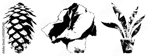 Stylized nature elements pinecone, crumpled paper, potted plant, textured black and white, rustic graphic, vector art, isolated design.