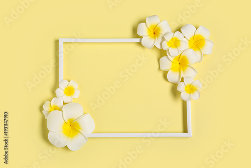 Frame with beautiful plumer...