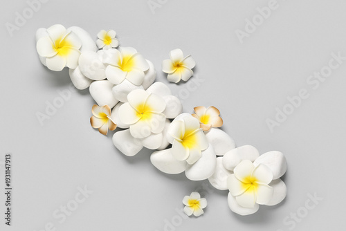 Beautiful plumeria flowers ...