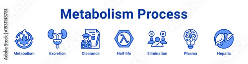Metabolism Process Icon Banner blue color
