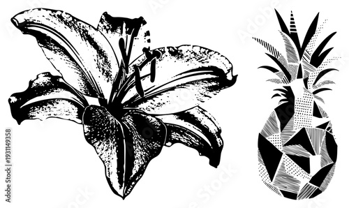 Stylized lily flower and fruit rendered in halftone and geometric, vector art, tropical botanical design, graphic print elements.