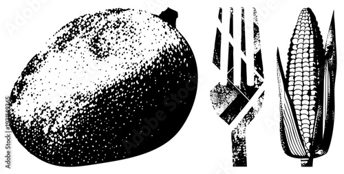 Black and white halftone vector graphic of avocado, fork, and corn cob, stylized food, minimalist culinary symbols, isolated food elements.