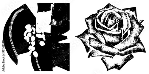 Stylized black and white vector art featuring a fragmented grape cluster and a detailed rose, rendered with halftone dot and sharp geometric cuts.