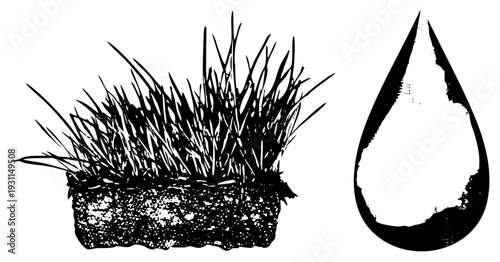 Black and white vector grass tuft with soil base, isolated water droplet, nature clipart, botanical sketch, eco graphic.