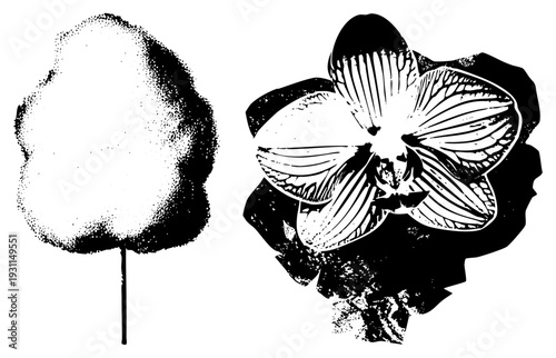 Black and white halftone cotton candy puff and detailed orchid bloom, graphic design elements, isolated vector illustrations, stylized and sweet treats.