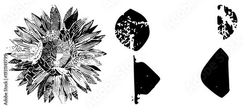 Black and white vector sunflower with detailed petals, halftone, and abstract organic shapes, isolated graphic design elements.