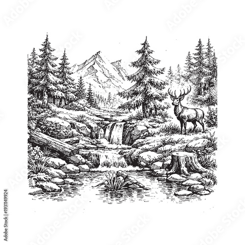 Majestic Stag by Waterfall in Pine Forest Landscape Engraving