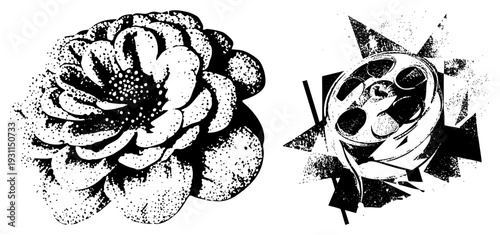 Dot flower bloom and film reel, stylized graphic design, artistic vector art, vintage print aesthetic, illustration.