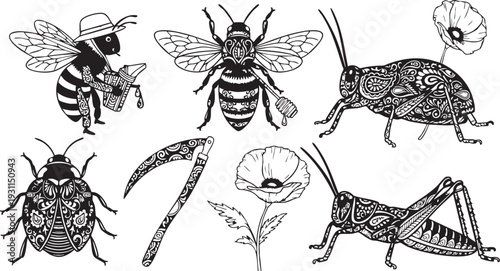 Intricately Designed Insects and in Black and White bees beetle grasshopper scythe