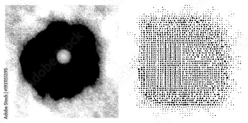 Black and white halftone dot composition, stippling texture, graphic design element, print art, visual, isolated vector motif.
