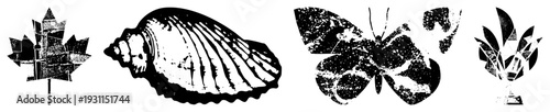 Black and white vector featuring stylized leaf,, butterfly, and palm frond with halftone texture, graphic design elements, isolated symbols.