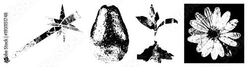 Black and white halftone vector illustrations avocado pit, magic wand, sprouting plant, daisy flower all with distressed texture, isolated on transparent background.