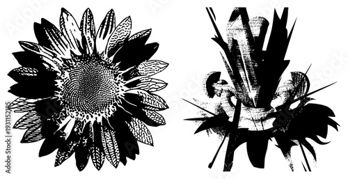 Black and white vector flower designs, sunflower with detailed center, abstract botanical burst, graphic art, halftone textures, isolated foreground elements.