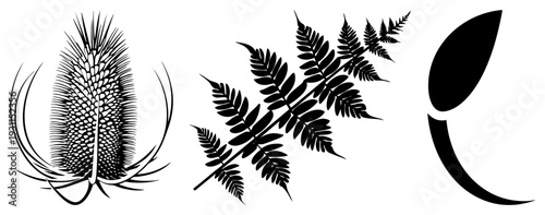 Stylized plant forms including teasel, fern frond, and abstract leaf, rendered as bold black vector shapes, ideal for eco design or nature themed branding.