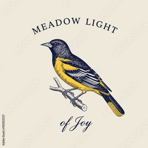 Baltimore Oriole perched on a branch, detailed illustration.