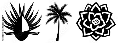 Tropical foliage including agave plant, palm tree, and stylized rose, vector art,, nature motifs, graphic design elements.