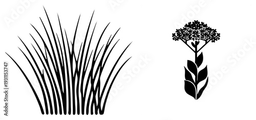 Stylized grass blades and flowering plant with clustered blooms, minimalist botanical design, vector art, nature, garden symbol.