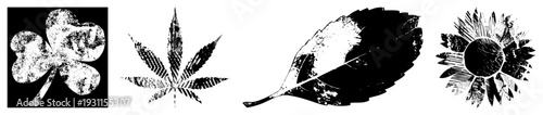 Distressed botanical silhouettes including clover, leaf, maple leaf, sunflower, halftone texture, black and white, graphic design elements.