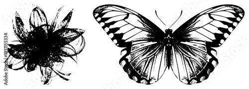 Artistic butterfly with detailed wings, stylized flower with layered petals, vector design, nature inspired graphic, isolated elements, cutout illustration, rgba compatible.
