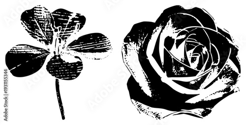 Vector illustrations of a four leaf clover and rose with halftone textures, design, botanical style, symbolic lucky charm and romantic bloom.