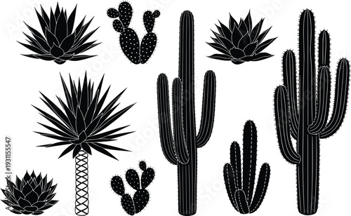 Desert cactus and succulent plants silhouette set isolated on white background botanical collection black vector illustration for design