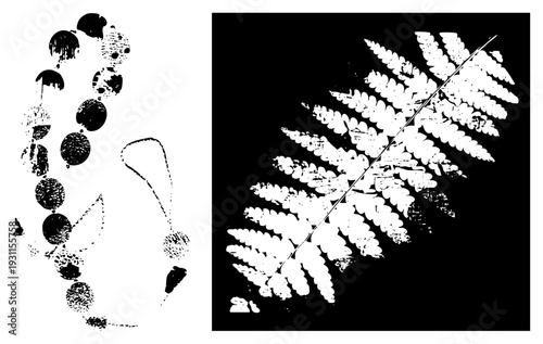 High contrast vector fern frond and textured bead necklace, halftone stencil effect, isolated graphic elements, botanical and jewelry design motifs.