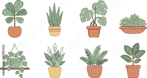 Web Indoor Houseplants Vector Icon Set: Potted Greenery and Urban Jungle Decor Elements