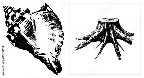 Detailed halftone and tree stump vector graphics, natural forms with textured shading, isolated nature motifs, stylized organic shapes.