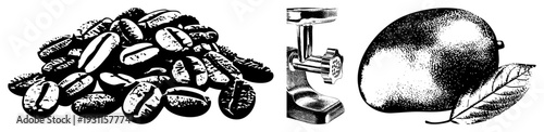 Classic black and white halftone graphic featuring coffee beans, meat grinder, and ripe mango with leaf. Retro engraving style, isolated elements, food and kitchen.