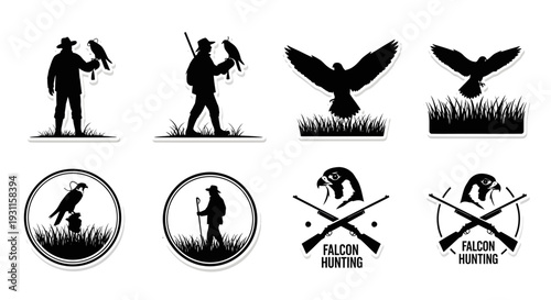 Falconry scenes with a hunter and birds decorative elements silhouette on transparent background