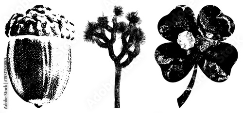 Stylized black and white halftone acorn with cap, Joshua tree silhouette, clover with stem. Graphic symbols for nature, luck, or rustic design.