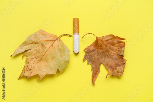 Lungs made of cigarette wit...
