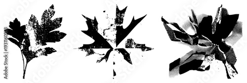 Graphic leaf designs with distressed textures, halftone, and gritty, ideal for print or digital art. Includes parsley, maple, and abstract foliage motifs.
