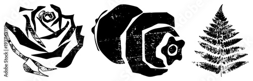 Black and white vector graphics of rose, clownfish, and fern with distressed texture, isolated cutout, flat design, nature motifs, tattoo art, stencil style.