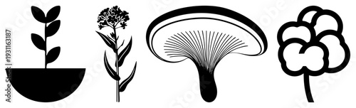 Minimalist black illustrations of plant in pot, flowering stem, fan shaped mushroom, and clustered buds. Flat design, isolated symbols for UI or branding.