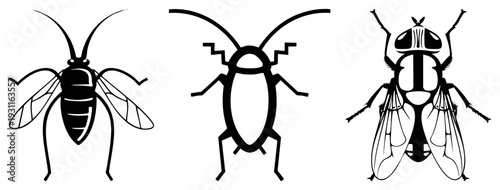 Vector of bee, cockroach, and fly insects. Black art, flat design, isolated for pest control, biology, or UI elements.