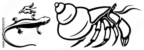 Black and white vector art of a salamander and hermit crab, bold style, aquatic and terrestrial creatures, isolated graphic elements for design.