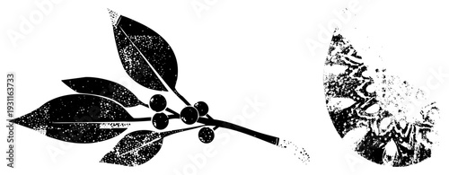 Holly leaf branch with berries, festive winter foliage, holiday decor element, stylized botanical design, halftone texture, isolated graphic, vector cutout.