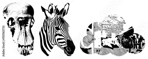Graphic vector illustrations of animal heads primate skull, zebra, and rhino rendered in high contrast halftone textures, ideal for print or digital design projects.