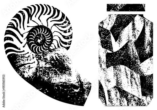 Stylized nautilus with spiral stripes and textured base, paired with abstract geometric vessel in halftone dot, both in vector design.