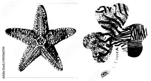 Sea star and three leaf clover rendered with halftone textures, stylized vector art, isolated symbols, graphic design elements, nature motifs.
