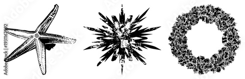 Sea star with textured arms, spiky sea urchin, mosaic wreath ring stylized marine and decorative symbols, vector art, isolated black silhouette.